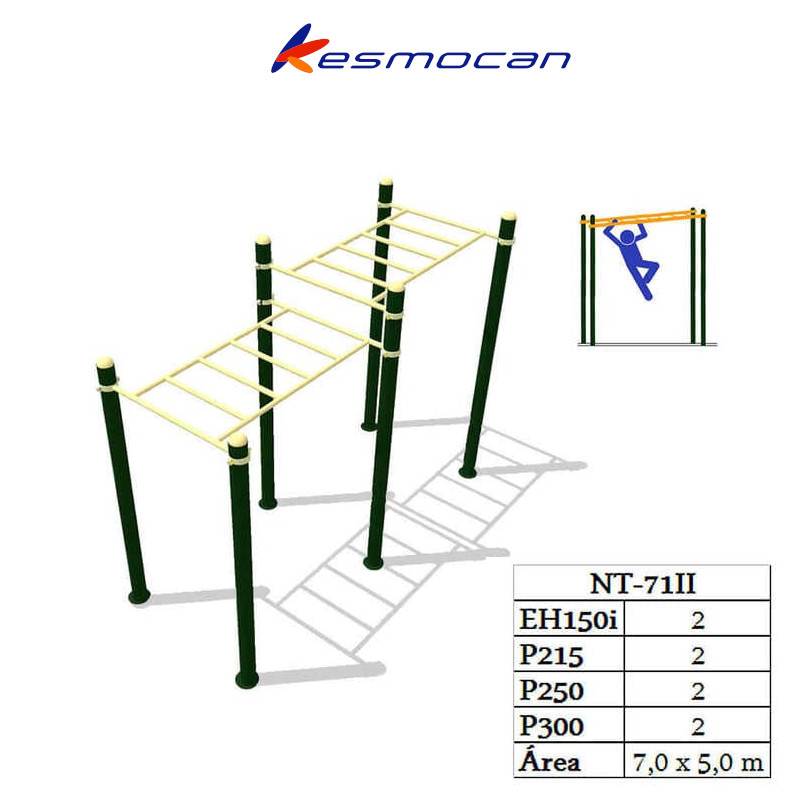 CALISTENIA ESCALERA DOBLE APARATO EXTERIOR