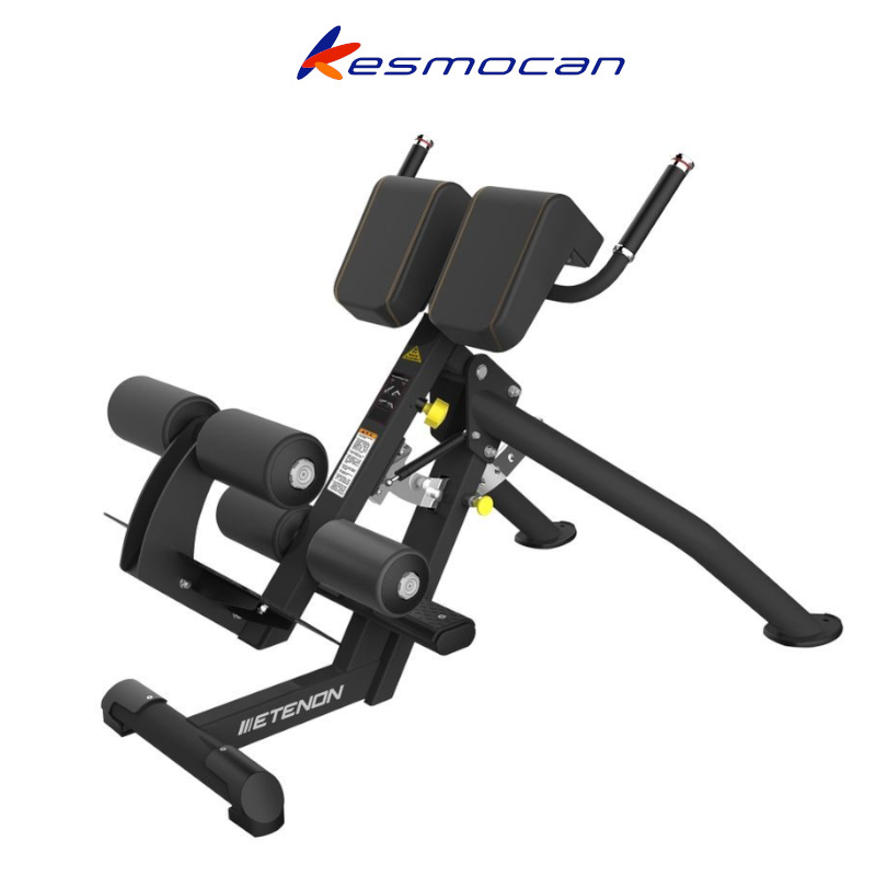 BANCO REGULABLE DUAL LUMBAR ETENON PTT0224F