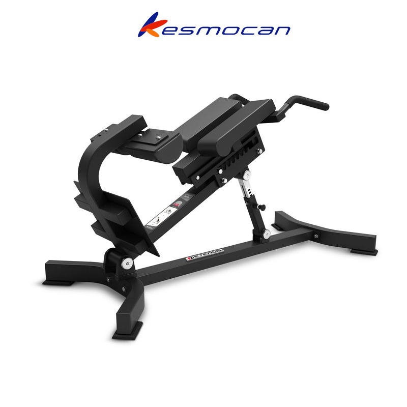 MAQUINA BANCO LUMBAR ETENON PL25