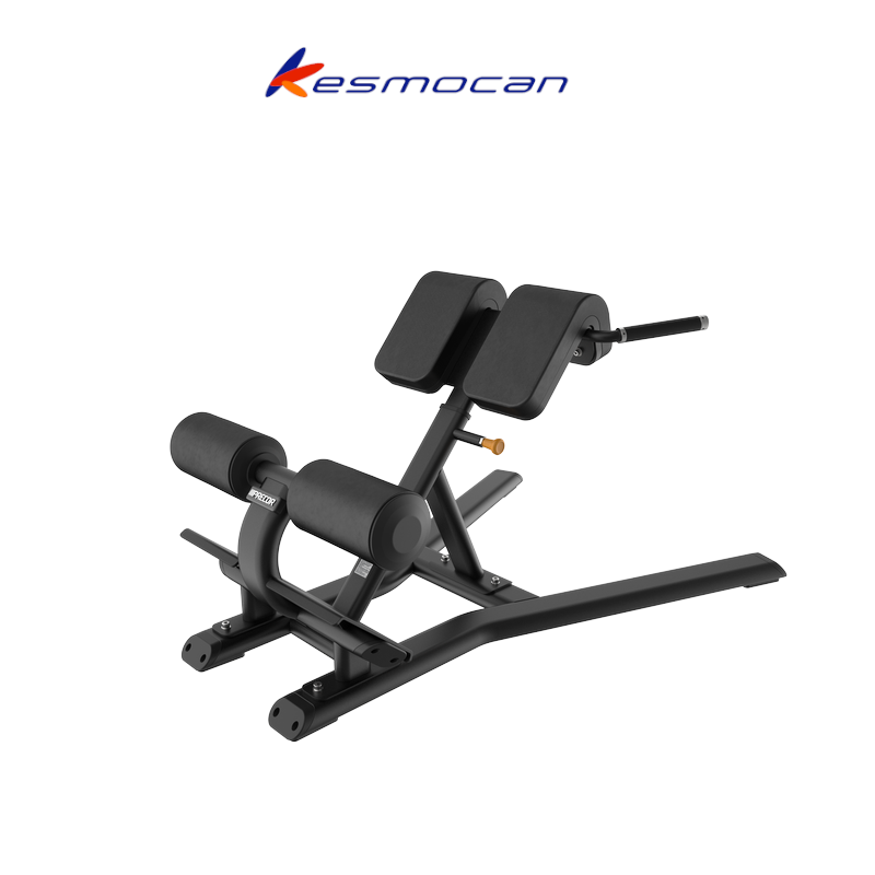 BANCO EXTENSION LUMBAR PRECOR VITALITY VBR6312