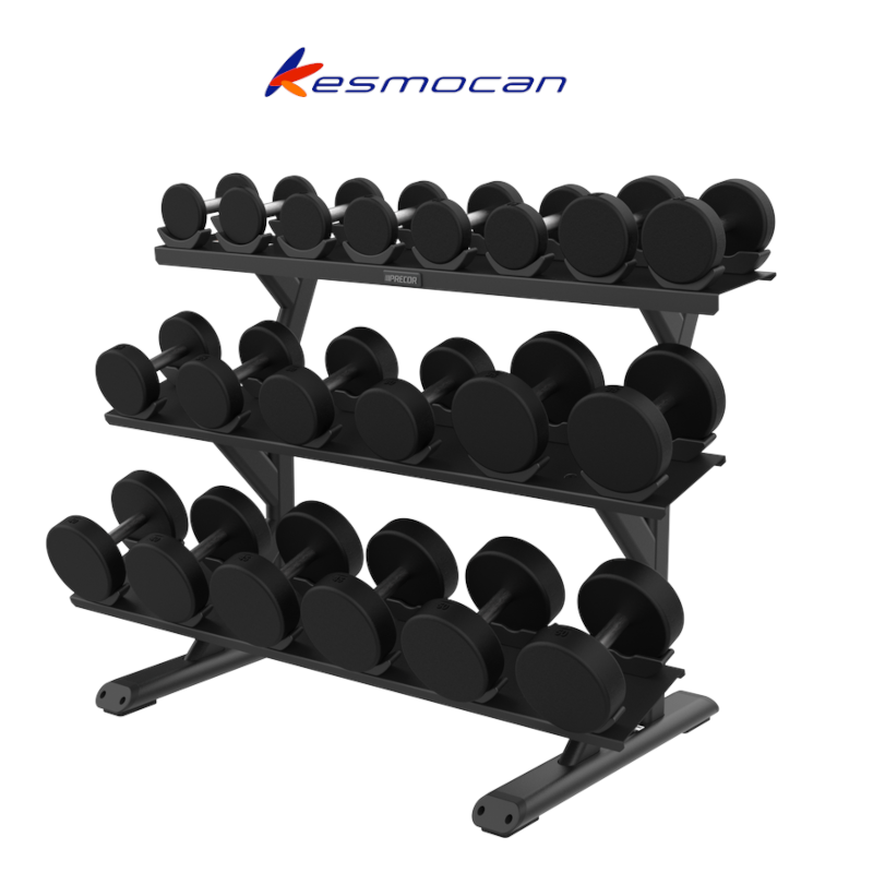 RACK ESTANTE MANCUERNAS PESAS DUMBBELL PRECOR VITALITY 3 NIVELES 10 PARES VBR6814