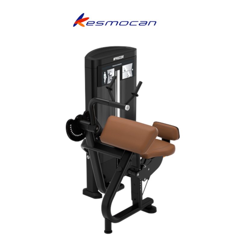 MAQUINA PRECOR RESOLUTE EXTENSION DE TRICPES RSL0208