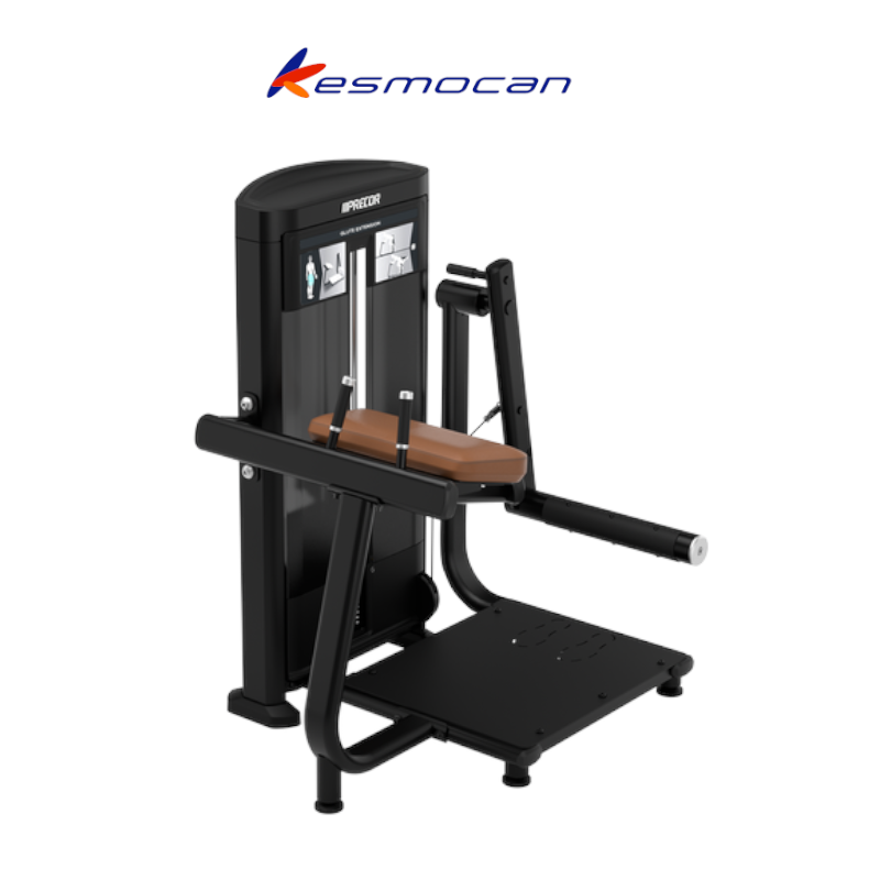 MAQUINA PRECOR RESOLUTE EXTENSION DE GLUETOS RSL0618