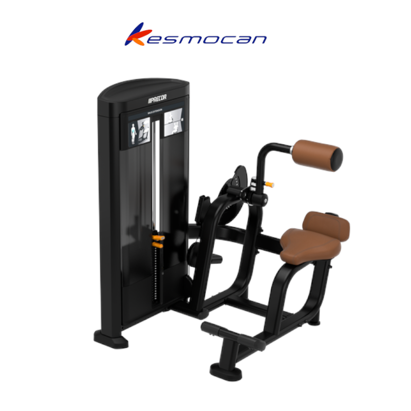 MAQUINA PRECOR RESOLUTE EXTENSION LUMBAR RSL0313